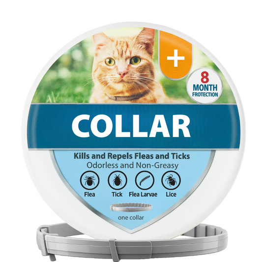 Cat Collar