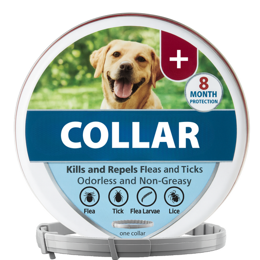 Large Dog Collar