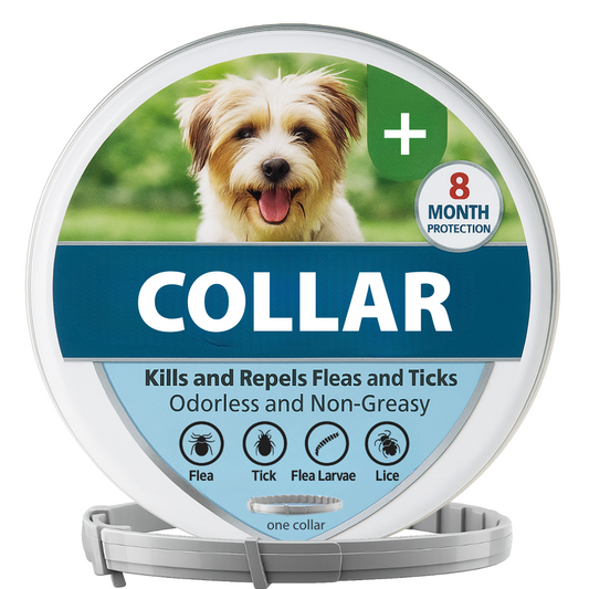 Small Dog Collar